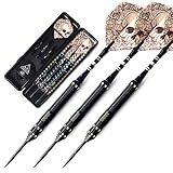 CUESOUL Dragon Series 21 Grams Steel Tip Darts