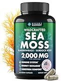 Sea Moss Capsules - Irish Sea Moss Advanced with Burdock Root, Bladderwrack & Muira Puama for Immunity, Gut, & Energy - Superfood Sea Moss Supplements w/Raw Sea Moss Powder - 120 Irish Seamoss Pills
