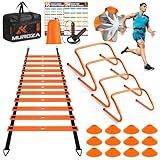 Agility Ladder Speed Training Equipment Set-20 ft Agility Ladder, 12 Soccer Cones, 4 Hurdles, Jump Rope, Running Parachute, Basketball Football Soccer Training Equipment for Kids, Youth, Adults