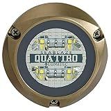 Lumitec Lighting 101511, LED Underwater Light, SeaBlaze Quattro Underwater Light, Dual Color White / Blue, One Size,Bronze