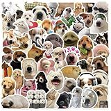 Dog Meme Stickers, Funny Dog Stickers for Kids Journaling Adults Kawaii,Cute Waterproof Vinyl Sticker for Water Bottles Laptops 50Pcs