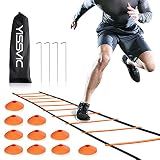 YISSVIC Agility Ladder and Cones 20 Feet 12 Adjustable Rungs | Fitness Speed Training Equipment,1 Carry Bags, 10 Cones, 4 Stakes, Basketball, Soccer