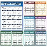 9Pcs Exercise Poster Set Workout Chart Posters Dumbbell Kettlebell Yoga Stretching Pilates Resistance Bands Stability Ball Body Weight Dumbbell Physical Educational Fitness Decoration for Home Gym