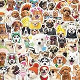 200PCS Funny Dog Meme Vinyl Stickers, Pet Animal Decal Pack for Laptop, Guitar & Suitcase, for Kids, Teens & Adults