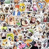 SigyoJeom 200PCS Funny Dog Meme Stickers for Adults Teens
