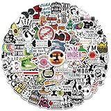 100Pcs Gym Workout and Weightlifting Stickers - Funny Fitness Stickers for Teens Adults, Waterproof for Water Bottles Laptop Car