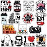 VOTANTA (15 Pcs, 3 inch) - Funny Gym Stickers Pack, Workout Weightlifting Stickers, Motivational Quotes Humor Decal, No Pain No Gain Gym Lovers Men Women Gifts Decoration for Laptops, Phones, Bottles