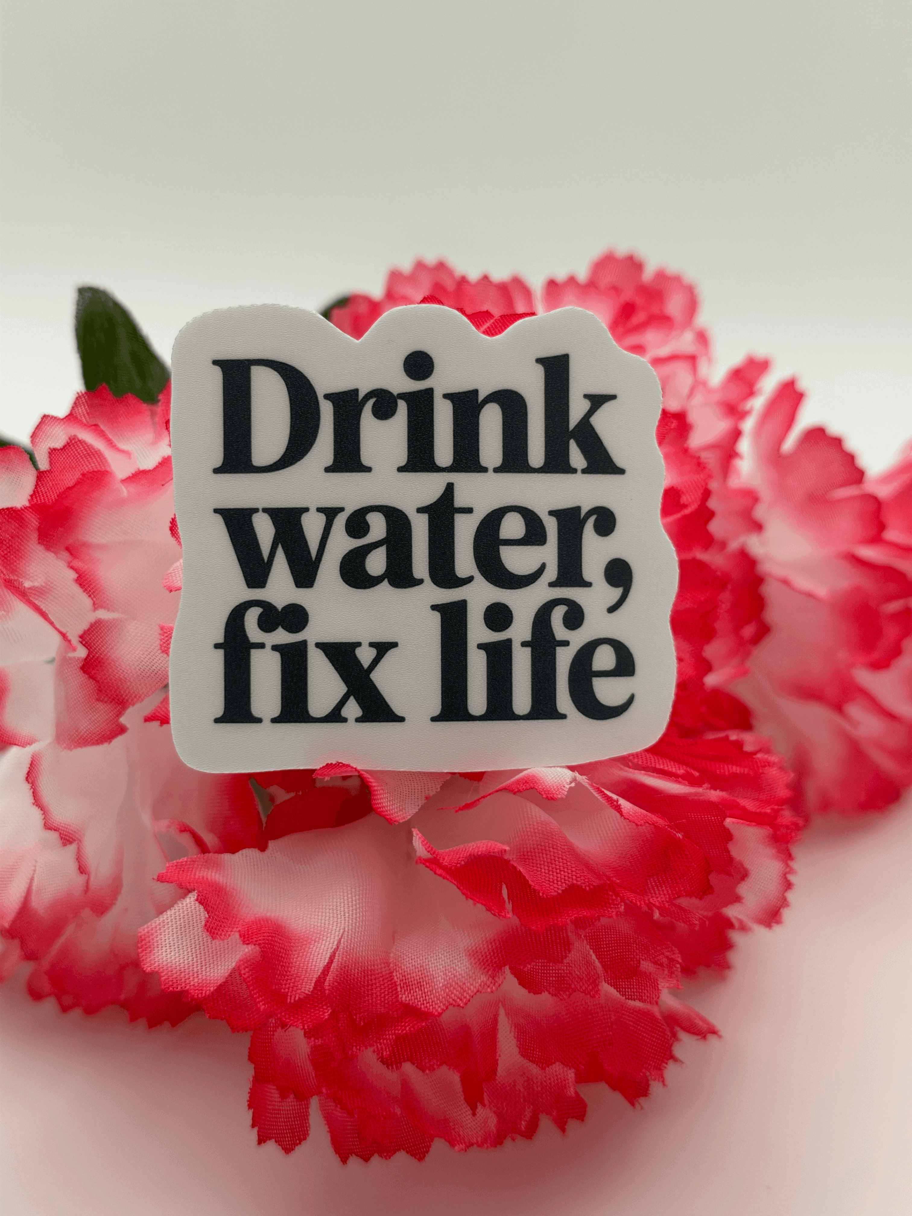 Inspirational "Drink Water Fix Life" Quote Sticker