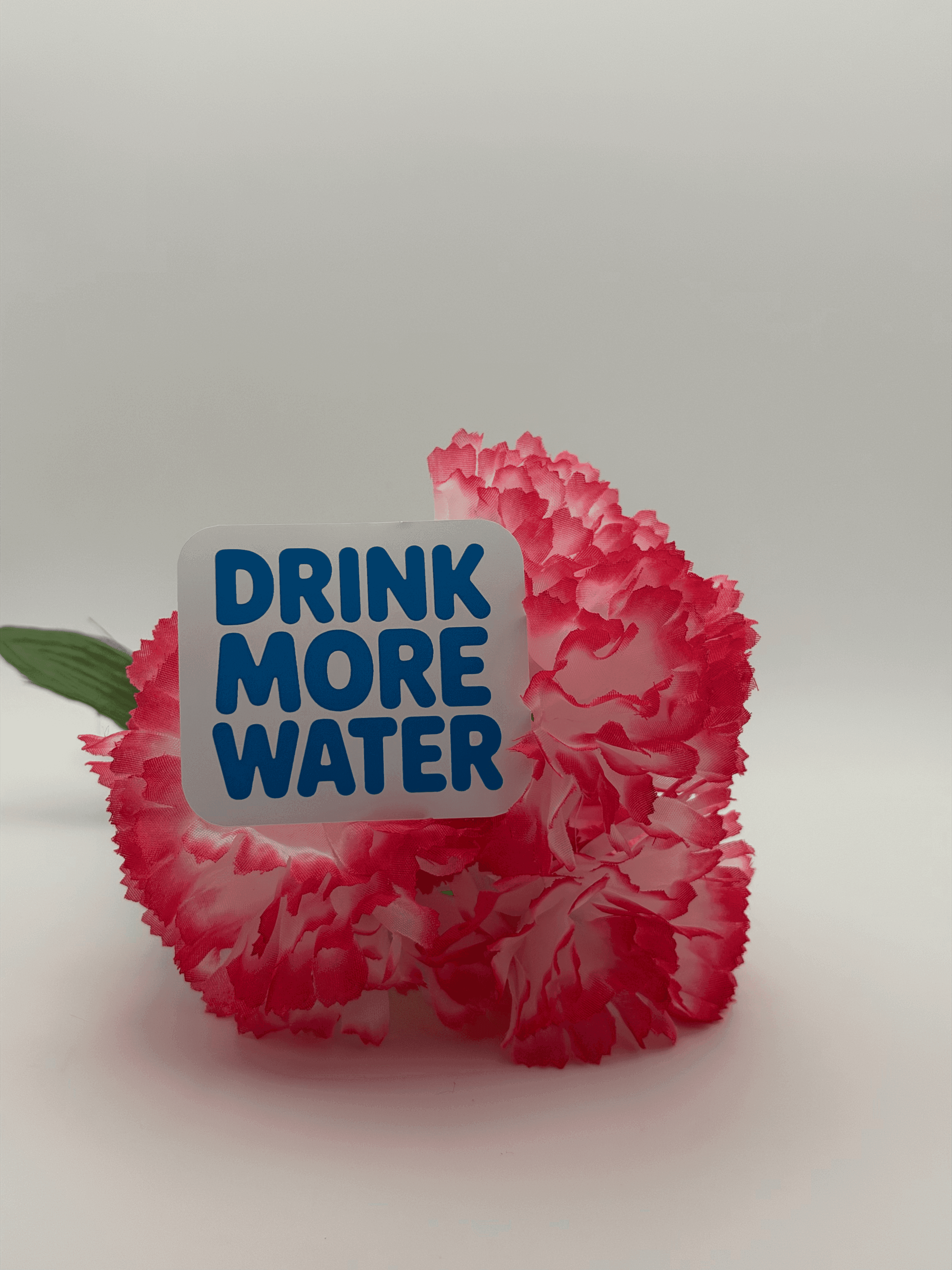 "Drink More Water" Motivational Sticker